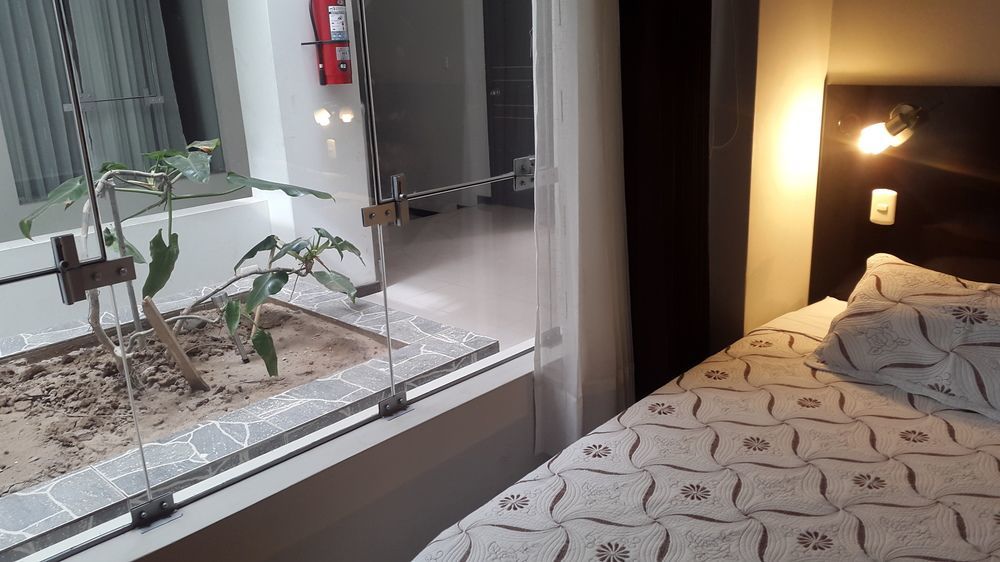 La Lisera Suite Residencial Tacna Ngoại thất bức ảnh